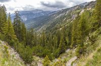 IMG_0197-Pano