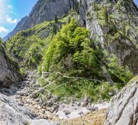 IMG_0699-Pano