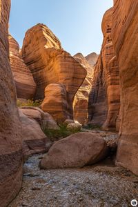 IMG_4290-HDR_Wadi-Numeria