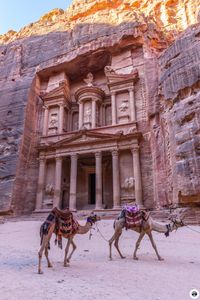 IMG_4777_Petra-Tag1