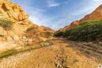 IMG_6467_Wadi_Assal