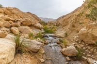 IMG_6639_Wadi-Wadia&acute;a