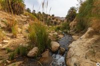 IMG_6649_Wadi-Wadia&acute;a