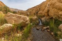 IMG_6731_Wadi-Wadia&acute;a