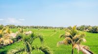 IMG_1583-Pano_Ubud_Reisfelder