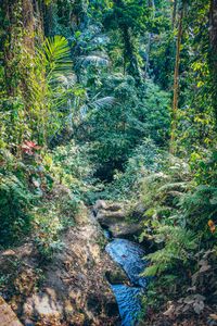 IMG_1651_Ubud_Goa-Gajah_Elefantenh&ouml;hle