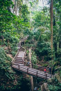 IMG_1686_Ubud_Mokey-Forest