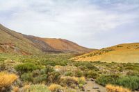 IMG_4259_Caldera de las Ca&ntilde;adas-Kraterkessel