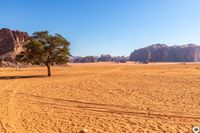 IMG_5490_Wadi-Rum-Kamelreiten