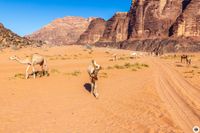 IMG_5498_Wadi-Rum-Kamelreiten