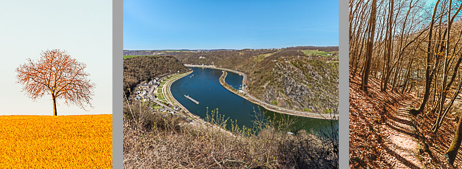 20210330_Loreley_04-Wandern.jpg